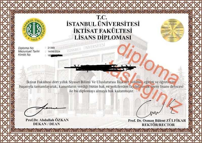 Lisans Diploması Örnek